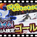 【SIA検定ゴールド】で雪男が魅せる洗練された技術!注目は「ビチーッ、キュンキュンキュンキュン」なカービングショートターン?